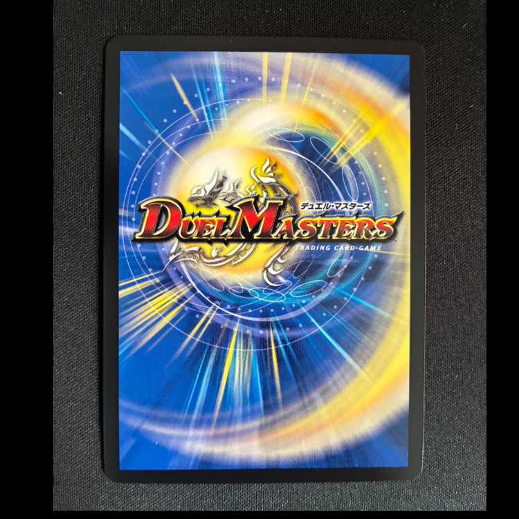 ＃R.S.F.K.｜オールイン・チャージャー VR 8/14 1枚