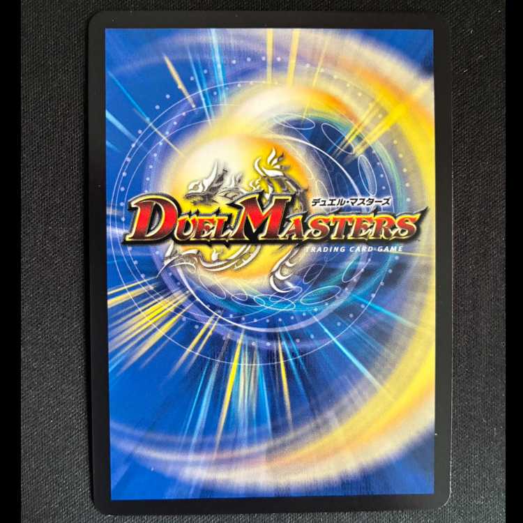 ＃R.S.F.K.｜オールイン・チャージャー VR 8/14 1枚