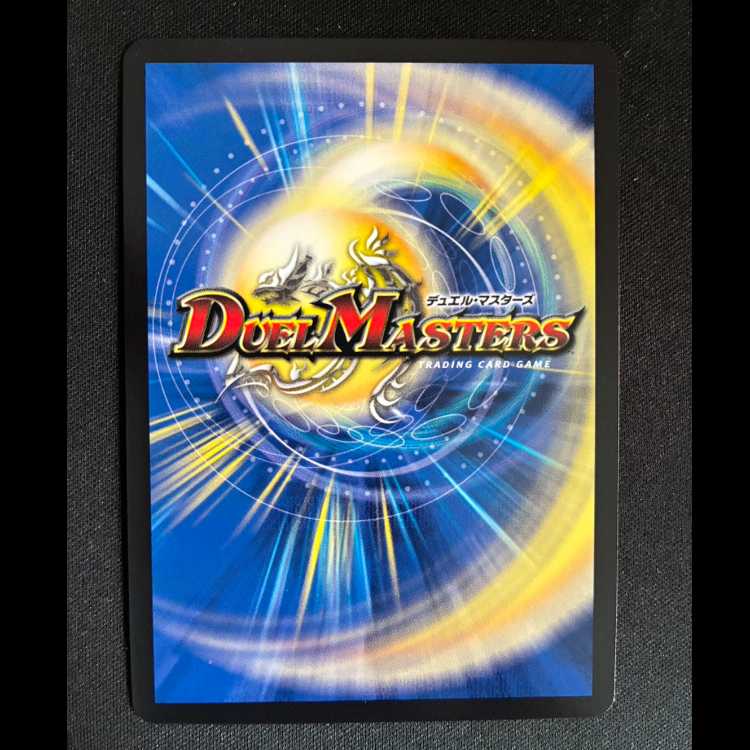 ＃R.S.F.K.｜オールイン・チャージャー VR 8/14 1枚