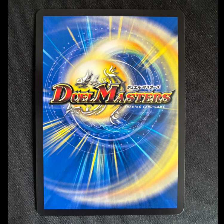 ＃烈火大聖 ソンクン(シークレットレア仕様) VR 10A/20  1枚