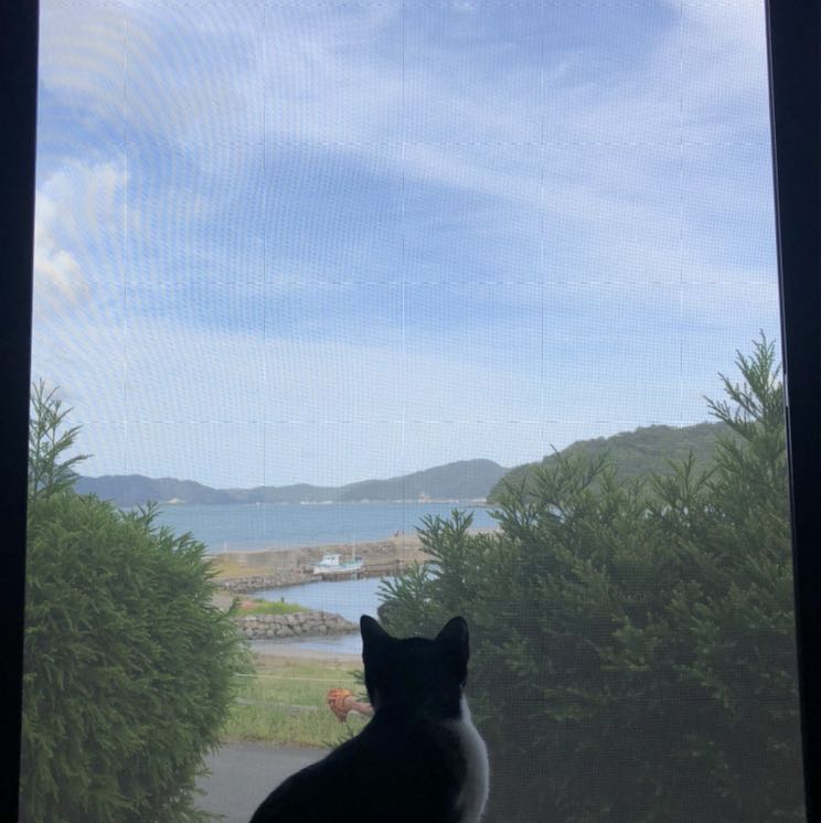 ブラビさん専用