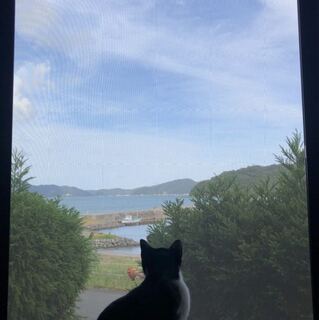 ブラビさん専用