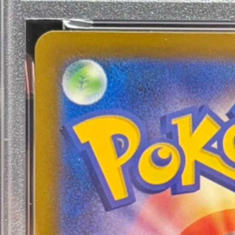 【PSA10】メガカイリューex SAR 246/193 1枚