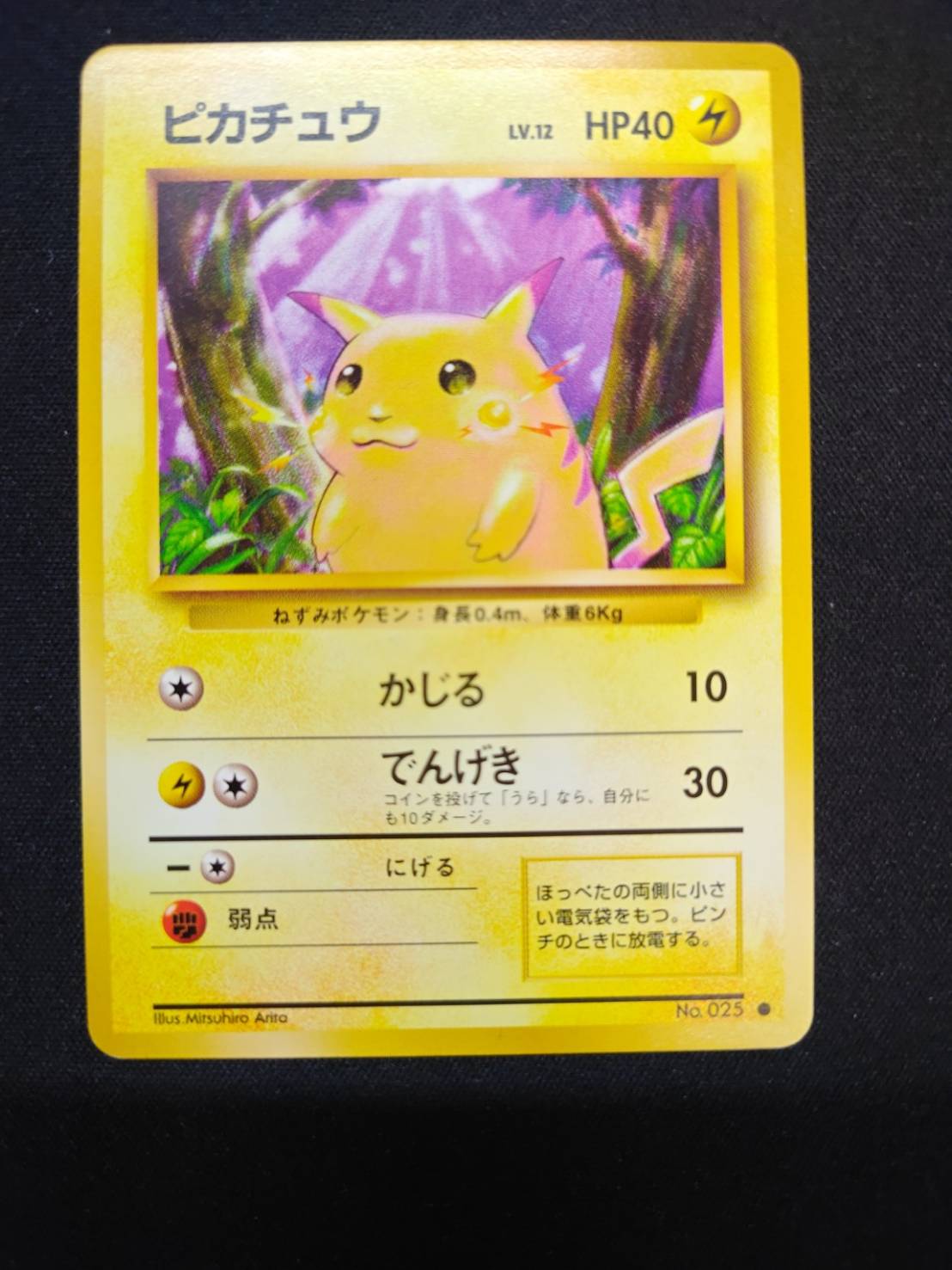 ピカチュウ LV.12(マークあり)【●】{旧裏} 1枚