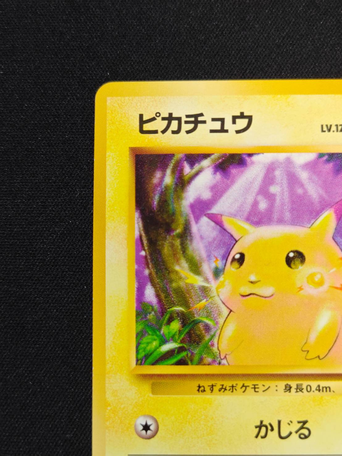 ピカチュウ LV.12(マークあり)【●】{旧裏} 1枚