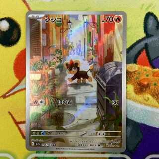 S199 シシコ AR 066/063 1枚