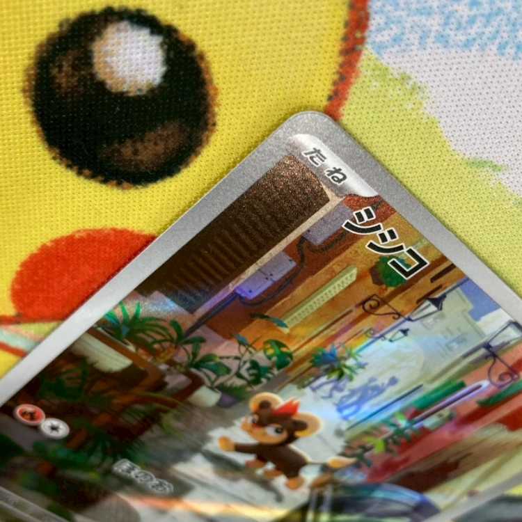 S199 シシコ AR 066/063 1枚