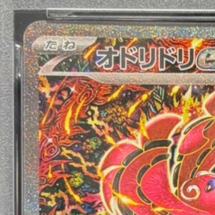 【PSA10】オドリドリex SAR 111/080 1枚