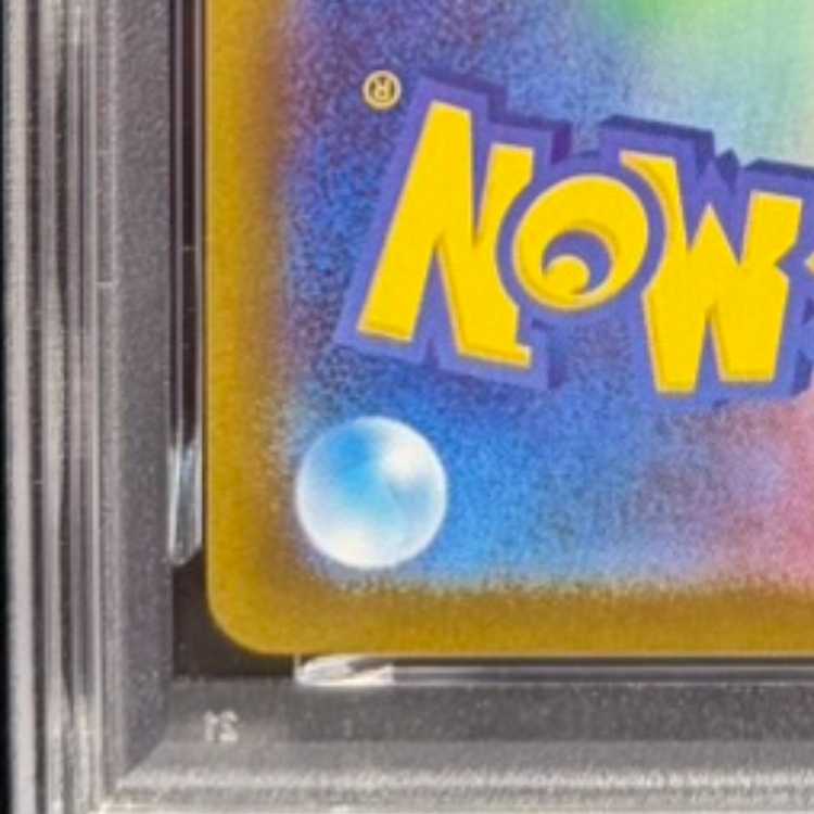 【PSA10】オドリドリex SAR 111/080 1枚