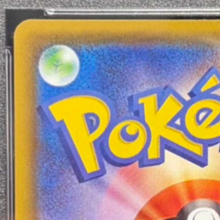 【PSA10】サンダースV SR 079/069 1枚