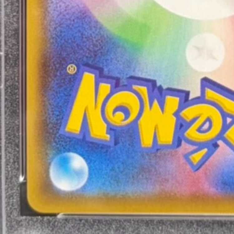 【PSA10】サンダースV SR 079/069 1枚