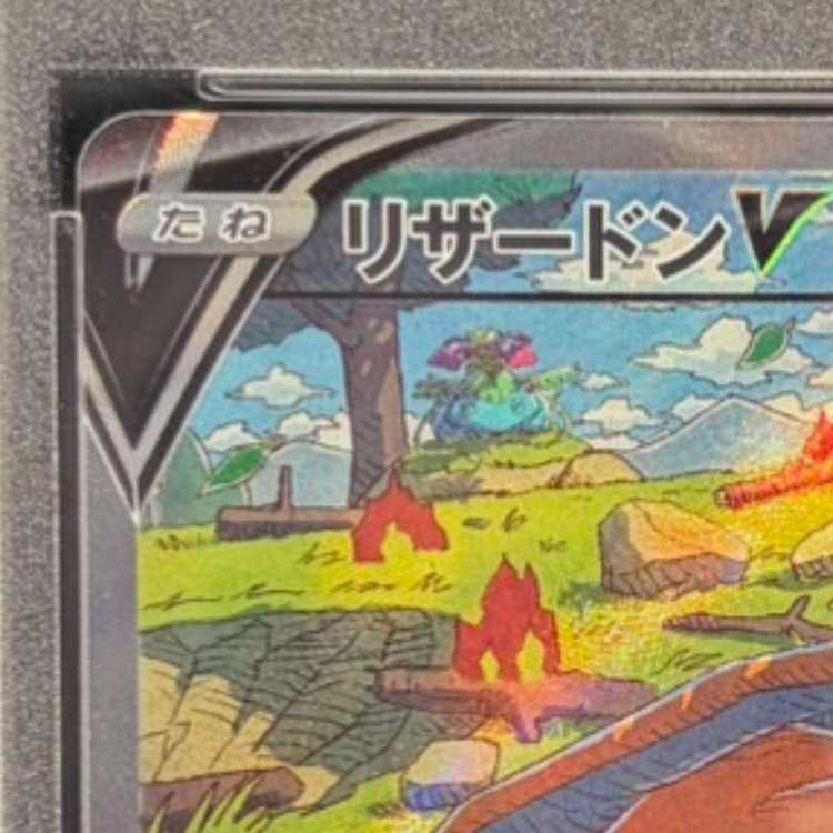 【PSA10】リザードンV SAR 211/172 1枚