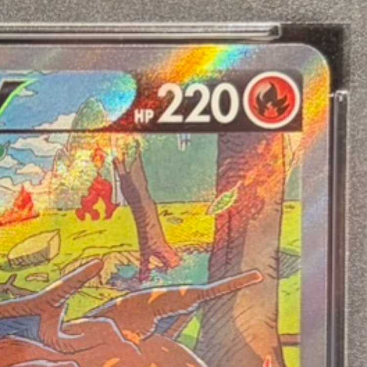 【PSA10】リザードンV SAR 211/172 1枚