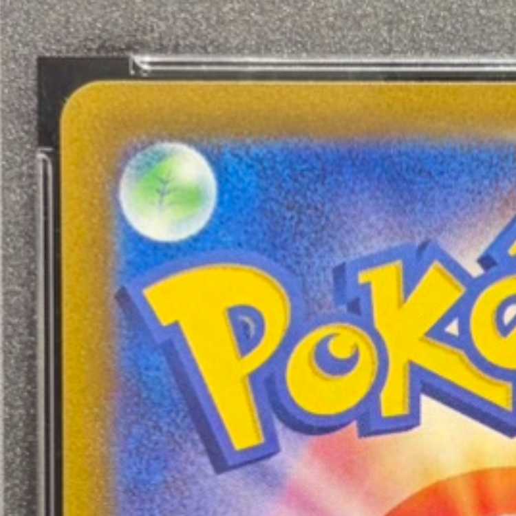 【PSA10】リザードンV SAR 211/172 1枚