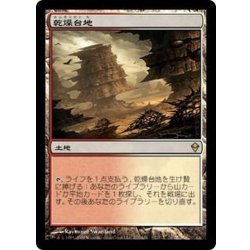 [EX]乾燥台地/Arid Mesa《日本語》【ZEN】 1枚