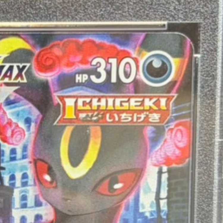 【PSA10】ブラッキーVMAX CSR 245/184 1枚