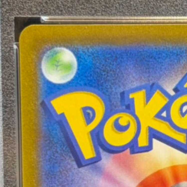 【PSA10】ブラッキーVMAX CSR 245/184 1枚