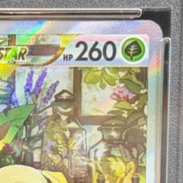 【PSA10】リーフィアVSTAR SAR 210/172 1枚