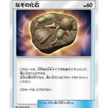 2枚セット/なぞの化石