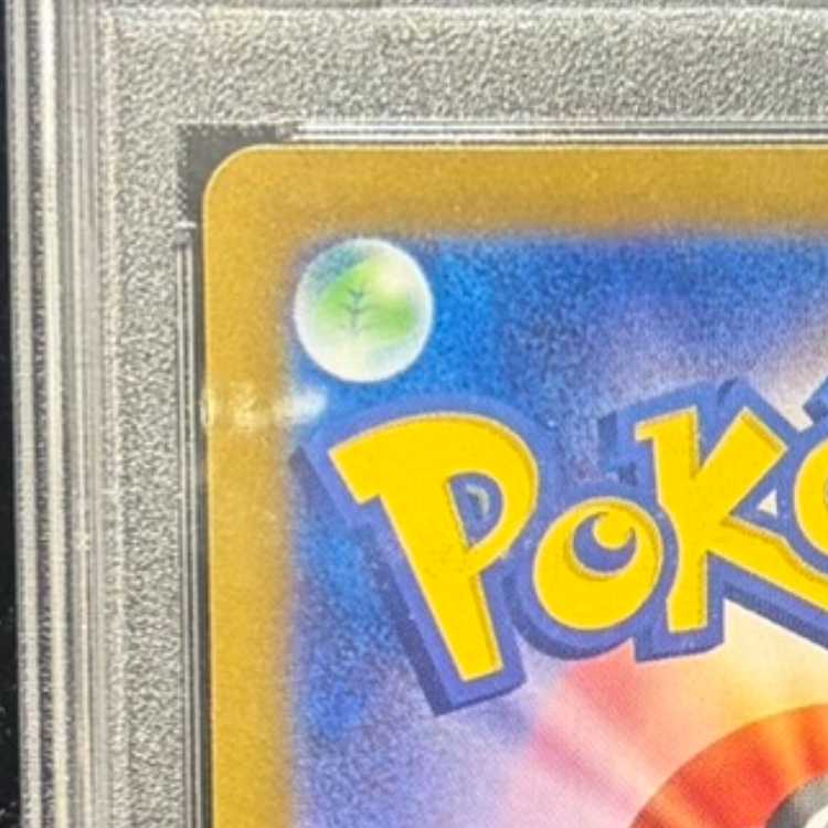 【PSA10】ゼイユ SAR 130/101 1枚