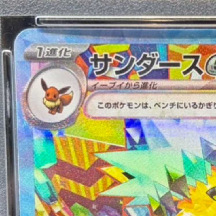 【PSA10】サンダースex SAR 209/187 1枚