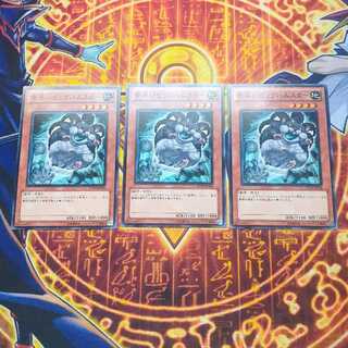 素早いビッグハムスター ノーマル JP034 3枚