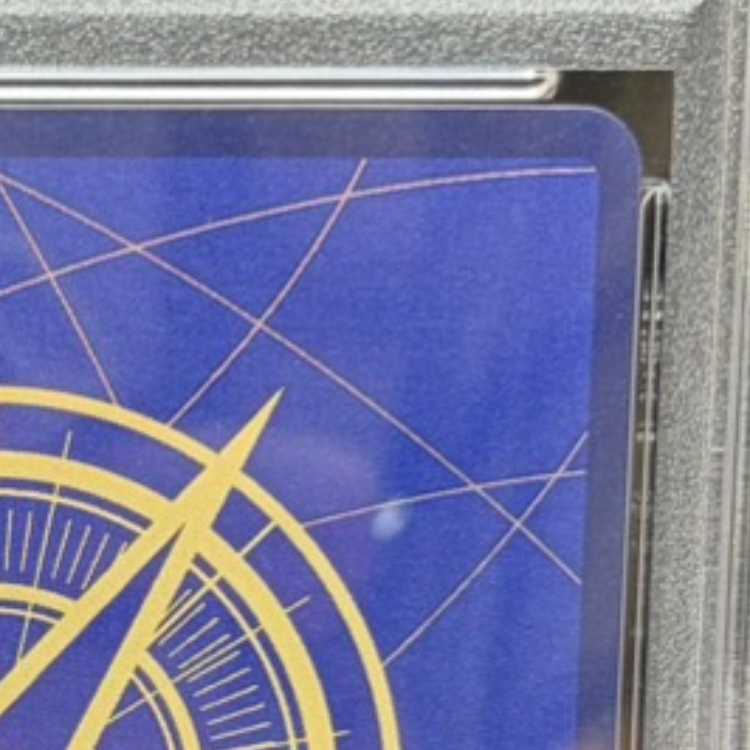 【PSA10】ロロノア・ゾロ(パラレル)(スーパーパラレル)(コミックパラレル・コミパラ・漫画背景) P-SEC OP06-118 1枚