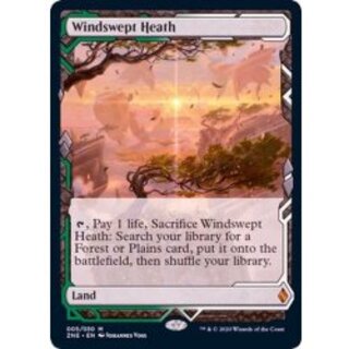 [EX](フルアート)吹きさらしの荒野/Windswept Heath《英語》【ZNE】 1枚