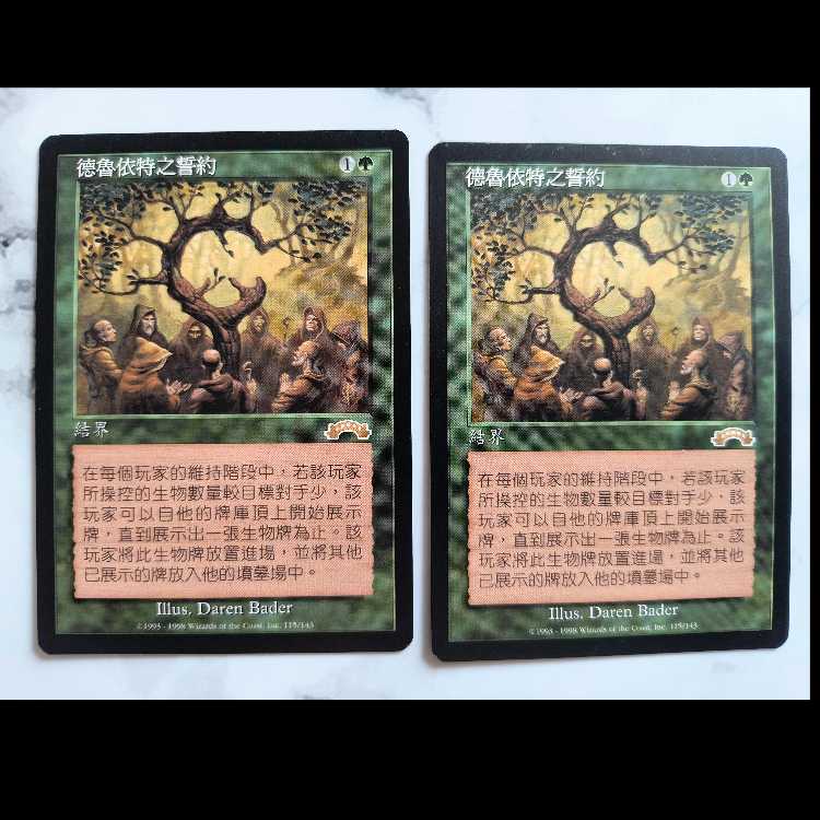 Oath of Druids/ドルイドの誓い EXO 中文繁体字版 2枚