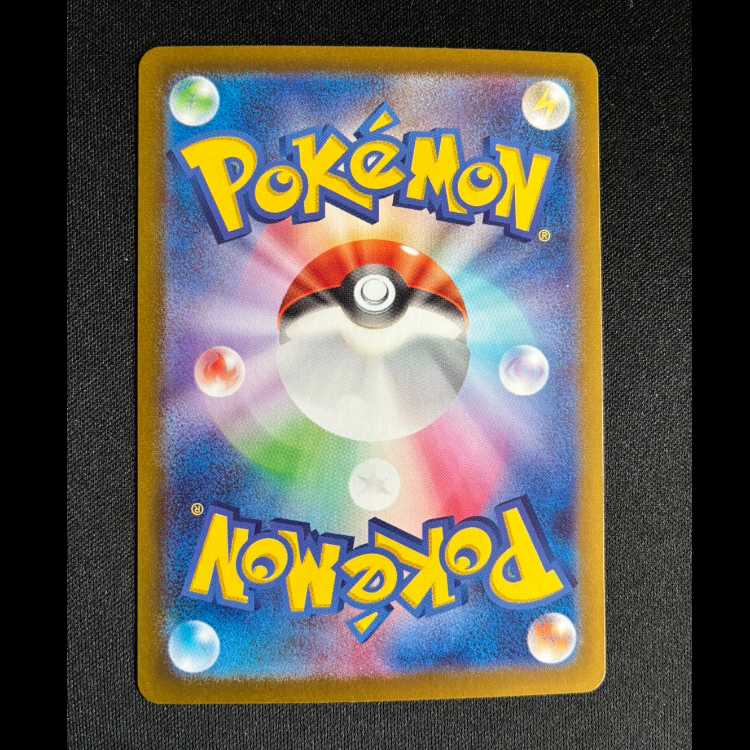 ＃カイデン AR 105/101 1枚