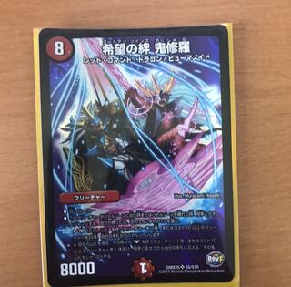 tiger beetle (esp. the Japanese tiger beetle, Cicindela japonica) 1枚