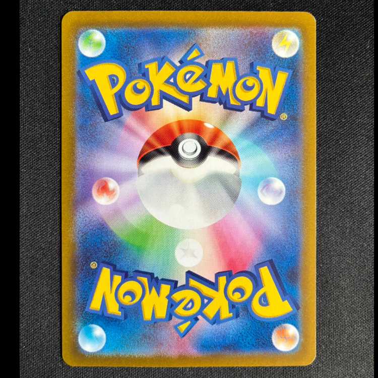 ＃ノコッチ AR 198/172 1枚