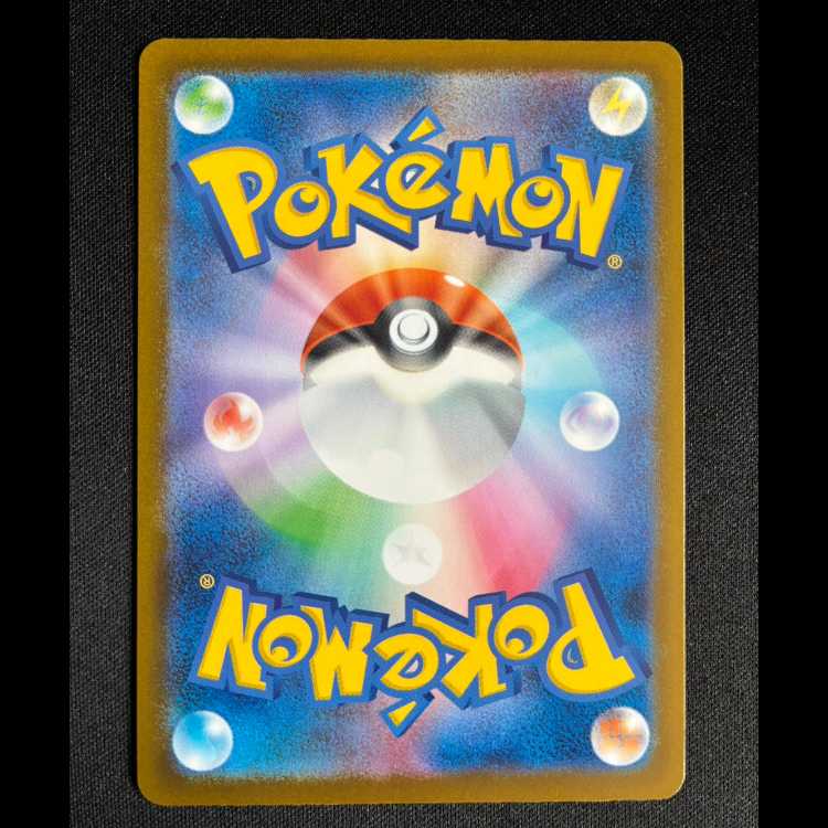 ＃ドクケイル AR 195/193 1枚