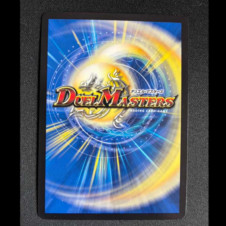 ＃R.S.F.K.｜オールイン・チャージャー VR 8/14 1枚