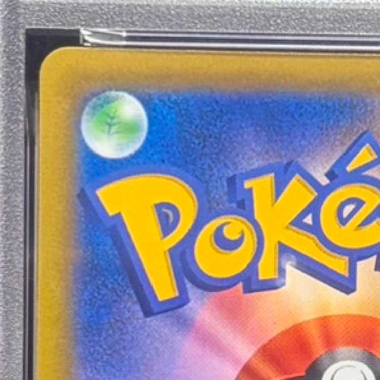 【PSA10】カイリキーV SR 073/067 1枚