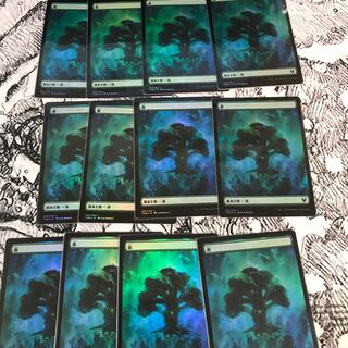 テーロス　土地　森　foil 12枚 12枚