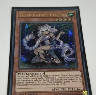 Traptrix Genlisea イタリア語版EU版