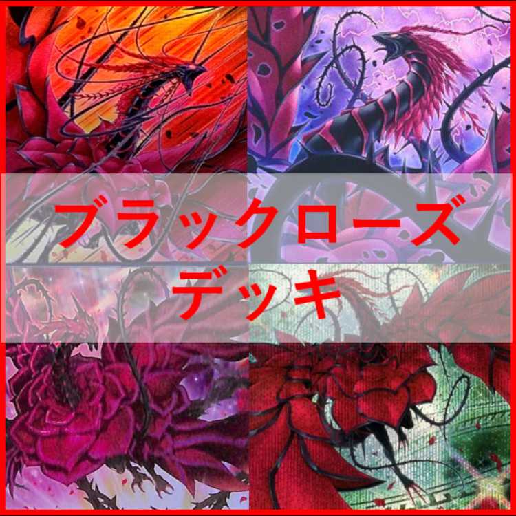 遊戯王　デッキ　ローズドラゴン　月華竜　ブラックローズ　[04883] 1枚
