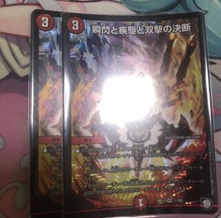 瞬閃と疾駆と双撃の決断