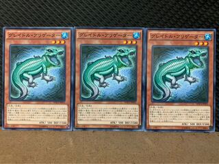 【ぽぽたん】遊戯王 3388 グレイドル・アリゲーター 3枚 ノーマル