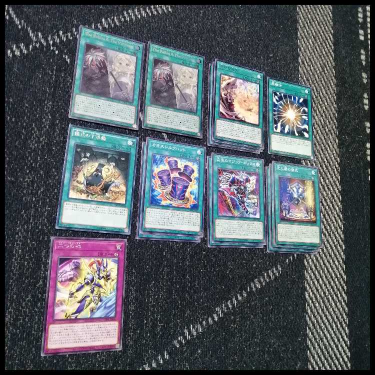 遊戯王　デッキ　烙印　光と闇の儀式　白き竜の落胤　[04893] 1枚