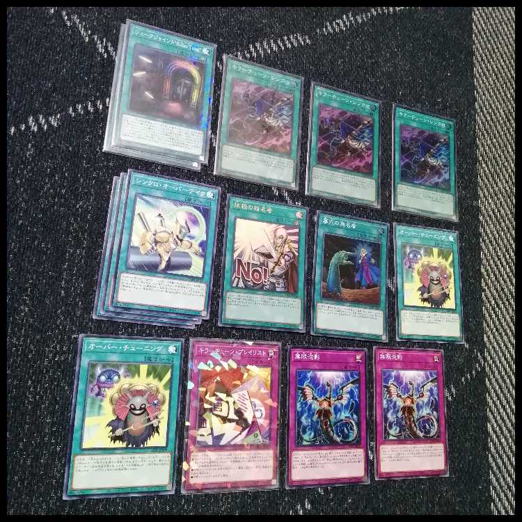 遊戯王　デッキ　キラーチューン　デッキ　ナチュルローズウィップ　[04889] 1枚