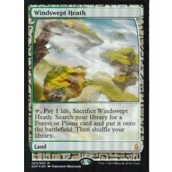 [EX+](FOIL)吹きさらしの荒野/Windswept Heath《英語》【EXP】 1枚