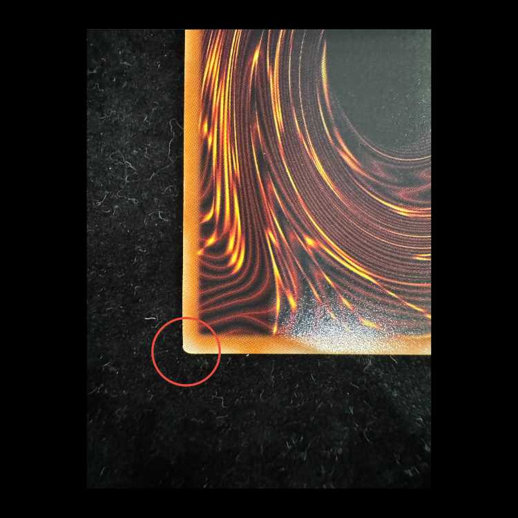 マッドレア・アメロ ORR RD/KP24-JP028 1枚