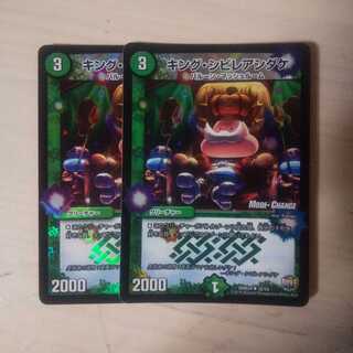 キングシビレアシダケ