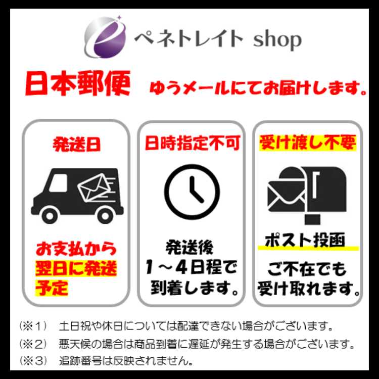 S1a 047/070 タイレーツ 闘 (C コモン) ポケモンカード 2枚