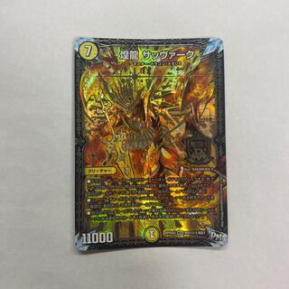 煌龍 サッヴァーク