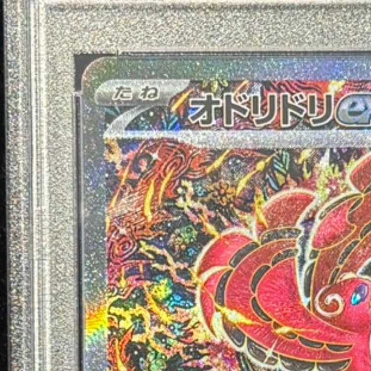 【PSA10】オドリドリex SAR 111/080 1枚