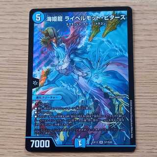 海姫龍　ライベルモット・ビターズ