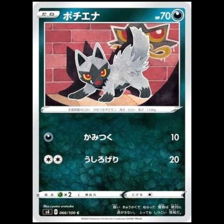 S4 066/100 Poochyena Darkness (C Common) Pokémon Card 1枚